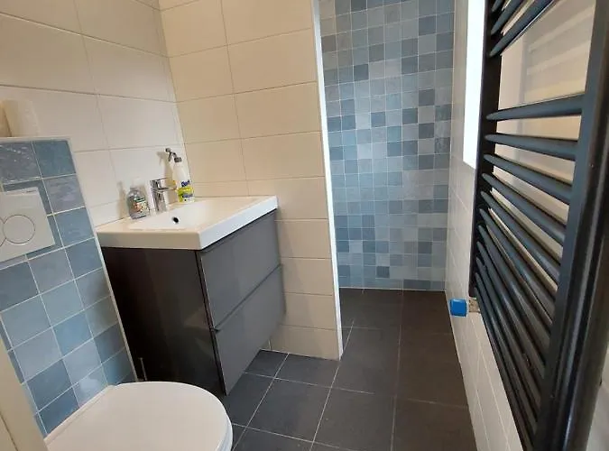 Modern En Chic Tot 4 Personen Op De Veluwe Recreatiepark De Oude Driest * Putten