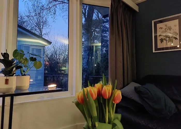 Alpstuga Modern En Chic Tot 4 Personen Op De Veluwe Recreatiepark De Oude Driest