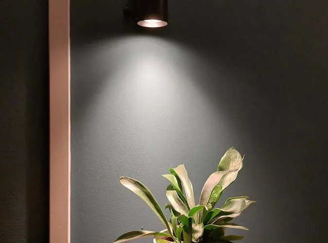 Alpstuga Modern En Chic Tot 4 Personen Op De Veluwe Recreatiepark De Oude Driest Putten