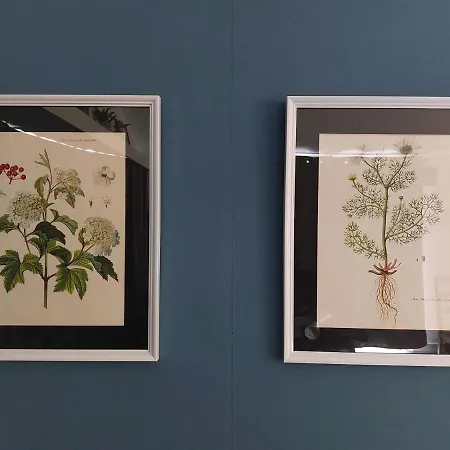 Modern En Chic Tot 4 Personen Op De Veluwe Recreatiepark De Oude Driest * Putten