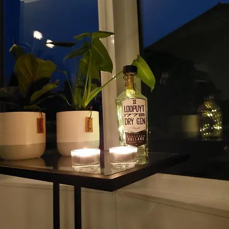 Modern En Chic Tot 4 Personen Op De Veluwe Recreatiepark De Oude Driest Putten