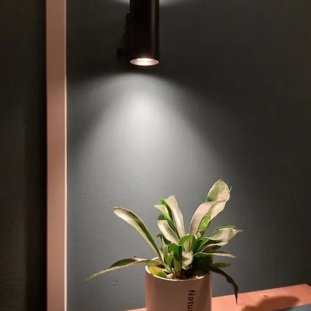 Chalet Modern En Chic Tot 4 Personen Op De Veluwe Recreatiepark De Oude Driest Putten