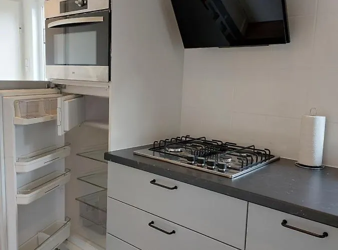 Modern En Chic Tot 4 Personen Op De Veluwe Recreatiepark De Oude Driest Dağ evi