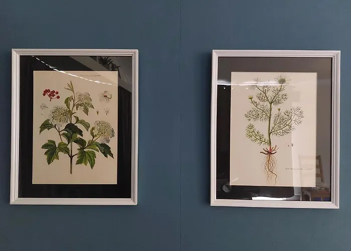 Modern En Chic Tot 4 Personen Op De Veluwe Recreatiepark De Oude Driest * Putten