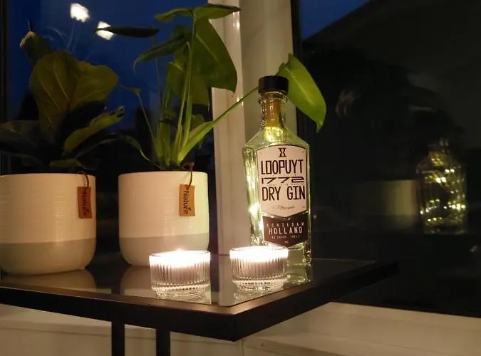 Modern En Chic Tot 4 Personen Op De Veluwe Recreatiepark De Oude Driest Putten