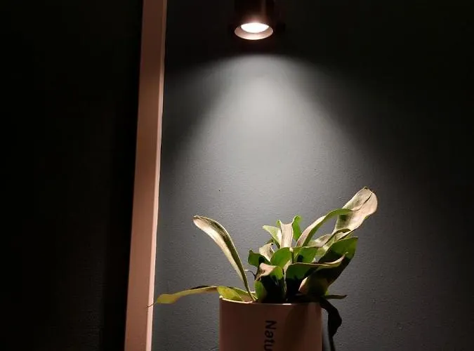 Modern En Chic Tot 4 Personen Op De Veluwe Recreatiepark De Oude Driest Putten